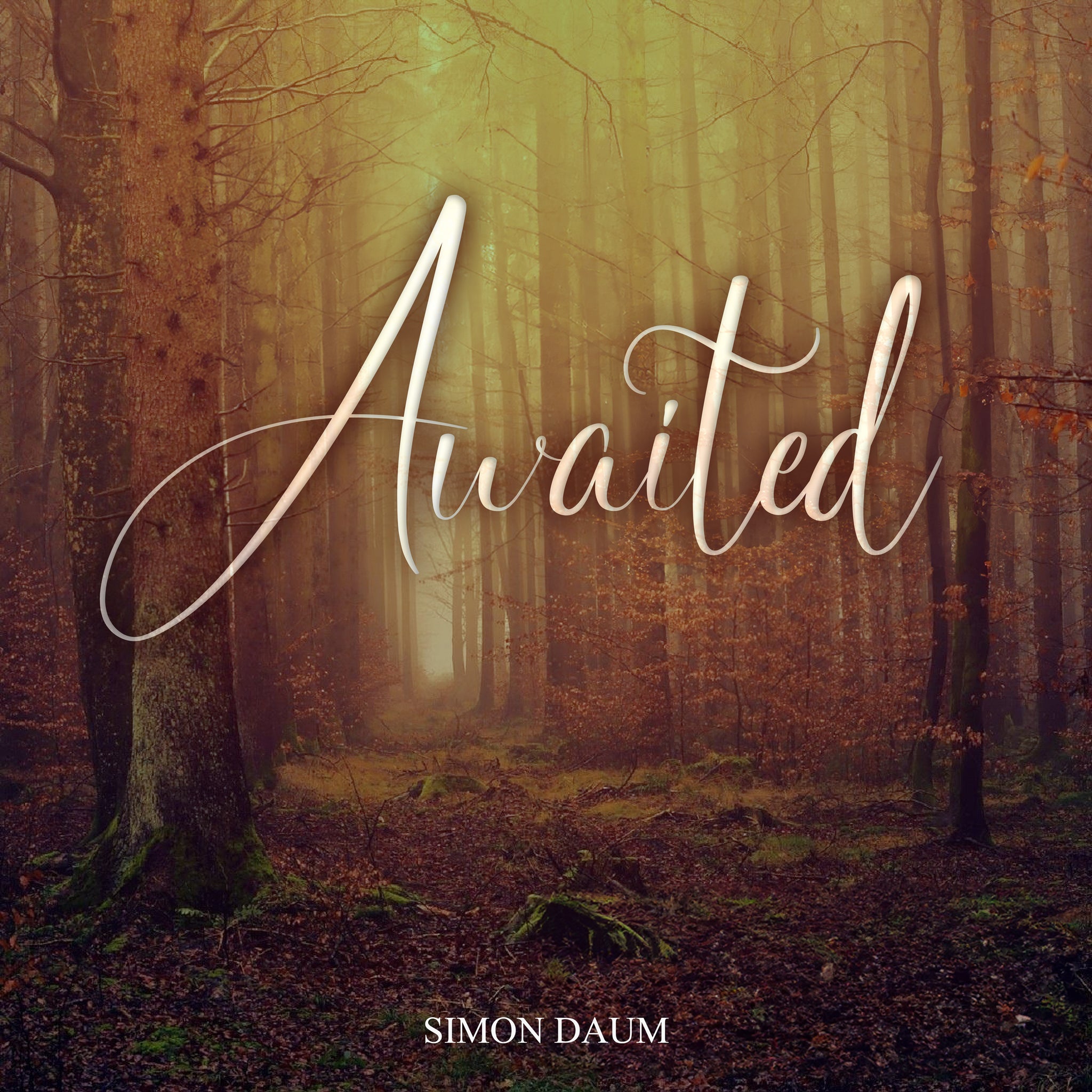 Awaited (MP3)